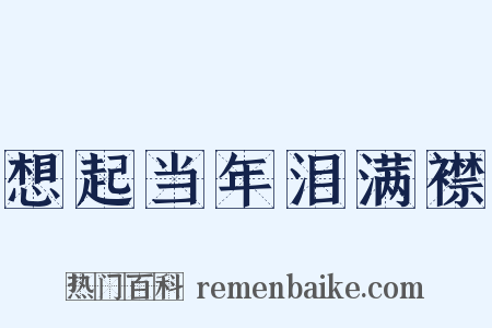 想起当年泪满襟是什么意思的图片